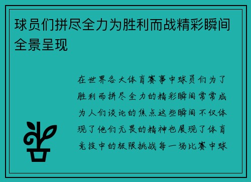 球员们拼尽全力为胜利而战精彩瞬间全景呈现